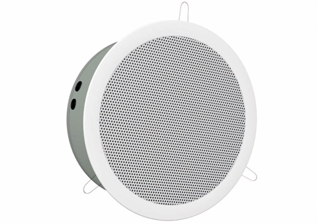 Pa Ceiling Loudspeaker Wdr-245- -en-10
