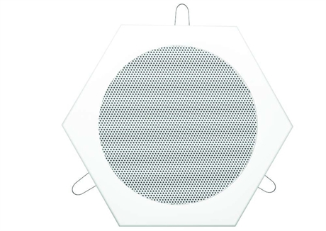 Pa Ceiling Speaker Wde-130-10