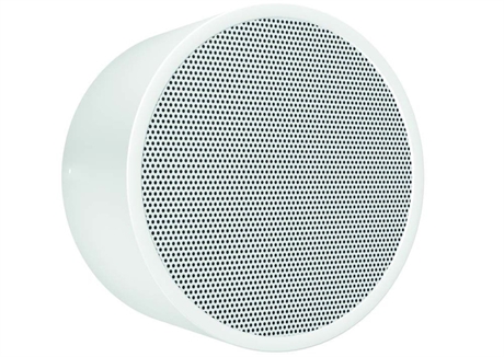 Pa Wall And Ceiling Speaker Dar-1000-10