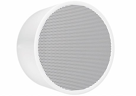 Pa Wall And Ceiling Speaker Dar-1000